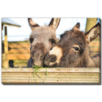 Fuzzy Friends Wall Art - Brown - 30 X 45