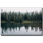 Forest Echo Wall Art - Green - 38 X 60