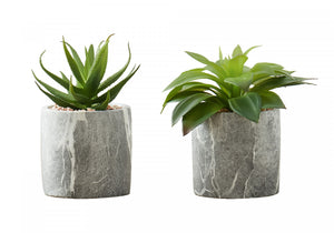 7" Succulent Plant With 4" Marble-look Pot - Green - Set of Two