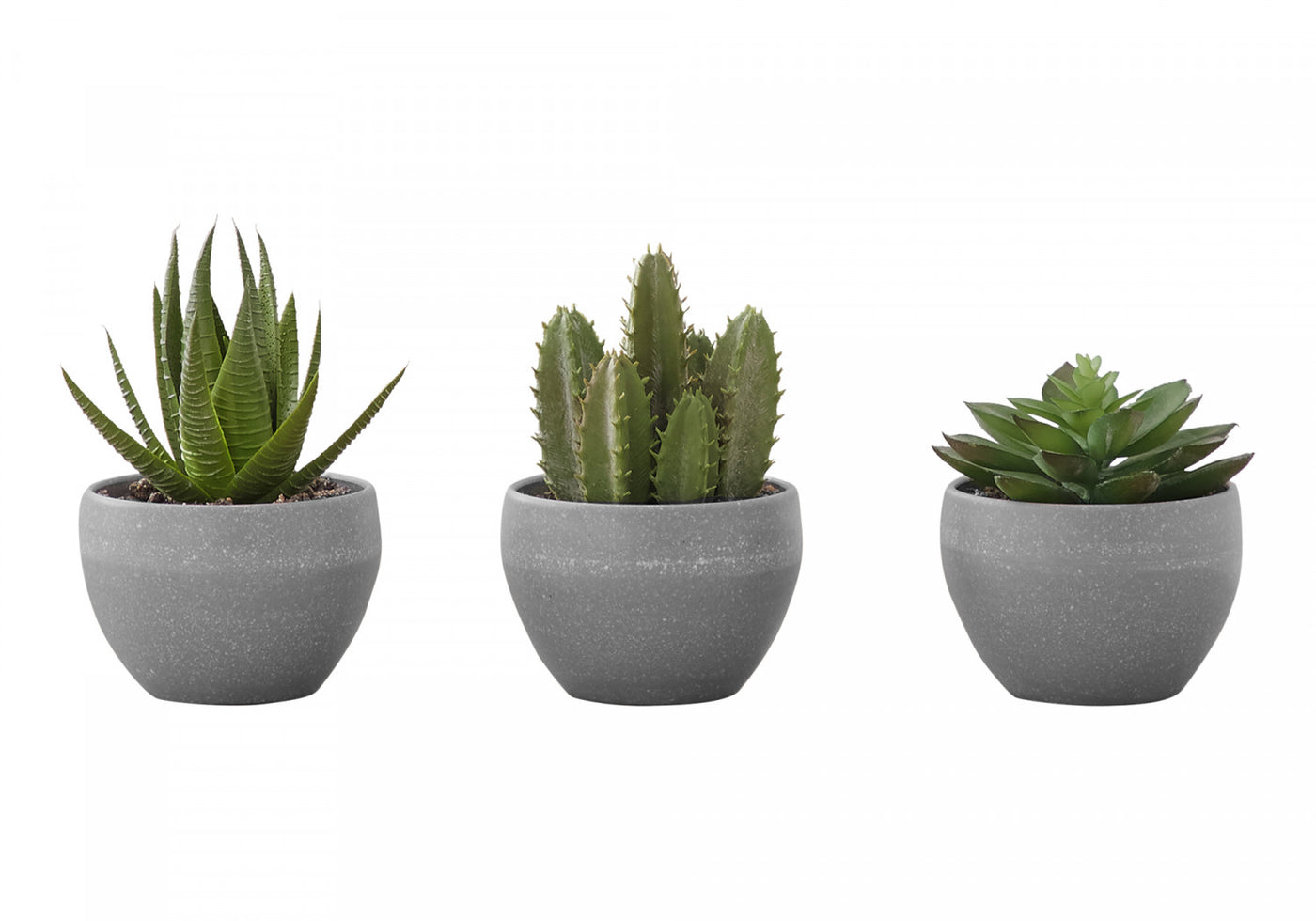 6" Succulent Plant With Grey Pot - Green - Set of Three