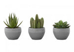 6" Succulent Plant with Grey Pot - Green - Set of Three