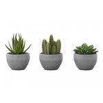 6" Succulent Plant With Grey Pot - Green - Set of Three