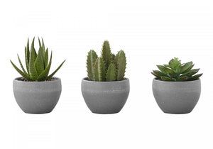 6" Succulent Plant With Grey Pot - Green - Set of Three
