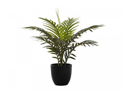 20" Palm Plant With 5" Black Pot - Green