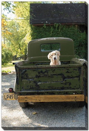 Tailgate Traveler Wall Art - Green - 30 X 45