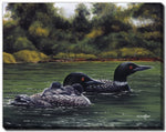 Loons on the Lake Wall Art - Green - 16 X 20