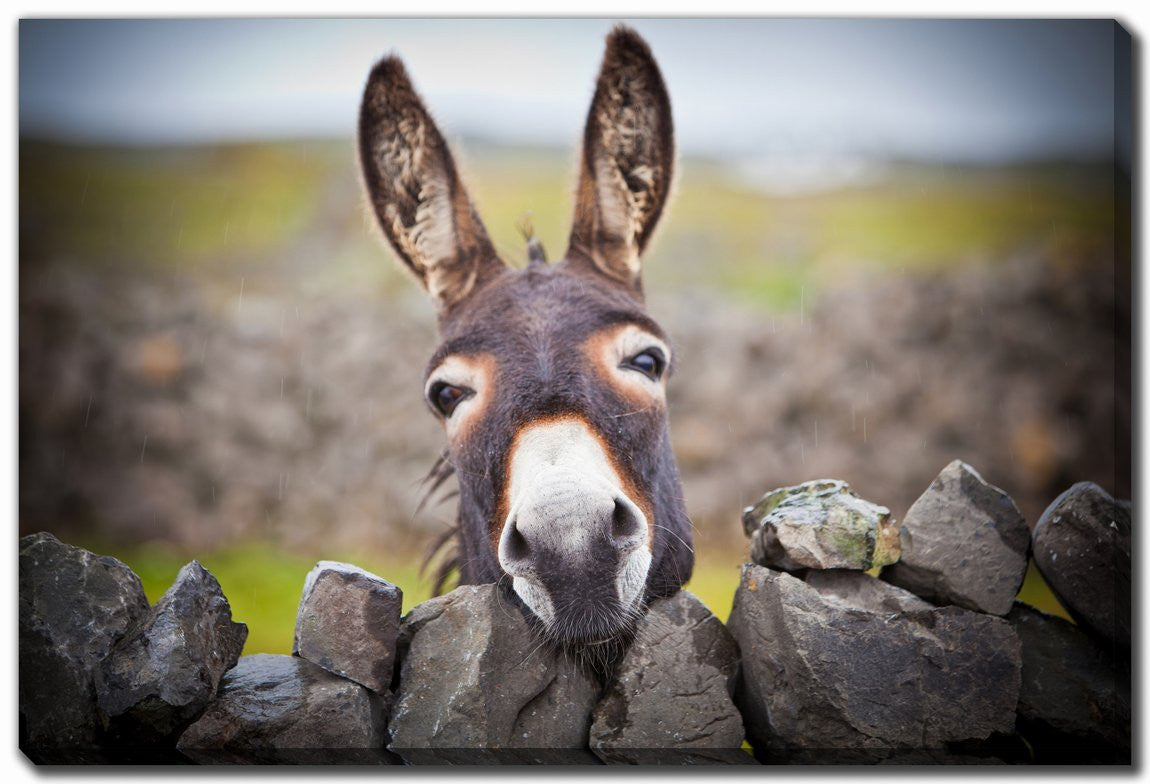 Behind the Wall Art - Brown - 38 X 60