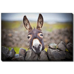 Behind the Wall Art - Brown - 38 X 60