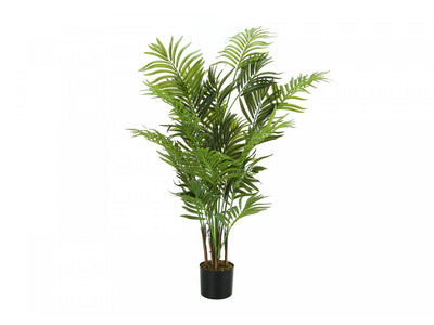 47" Areca Tree With 5" Black Pot - Green