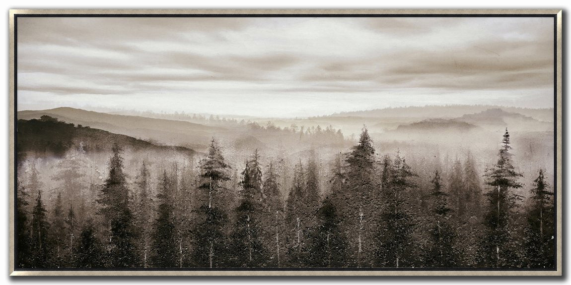 Echoes in the Fog wALL Art - Black/Brown - 28 X 56