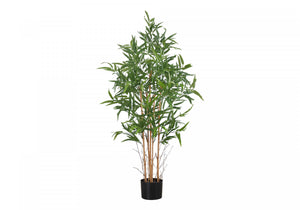 50" Bamboo Tree With 5" Black Pot - Green