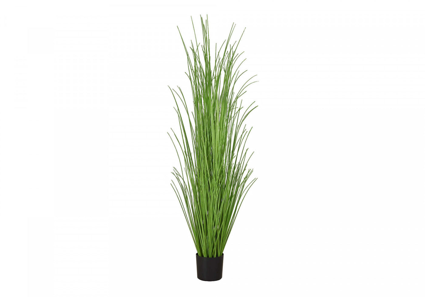 47" Grass Plant With 5" Black Pot - Green