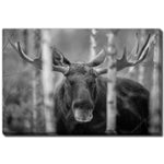 Forest Monarch Wall Art - Grey - 38 X 60