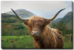 Guardian of the Glen Wall Art - Brown/Green - 38 X 60