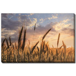 Wheatlight Wall Art - Brown - 22 X 28