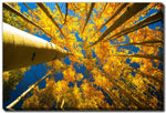 Beneath the Leaves Wall Art - Yellow - 30 X 45