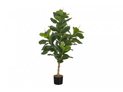 47" Fiddle Tree With 5" Black Pot - Green