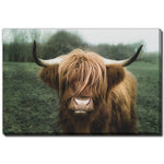 Woolly Majesty Wall Art - Brown/Green - 16 X 20