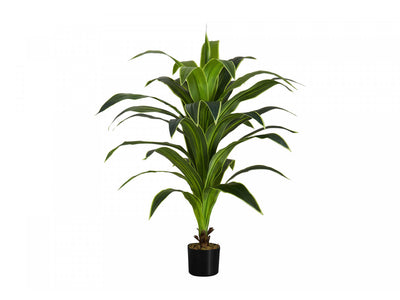 47" Dracaena Tree With 5" Black Pot - Green