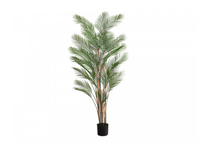 83" Palm Tree With 8" Black Pot - Green