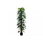 83" Monstera Plant With 8" Black Pot - Green