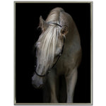 Silent Beauty Wall Art - Black/White - 48 X 36