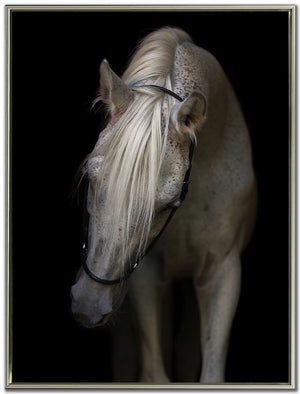 Silent Beauty Wall Art - Black/White - 48 X 36