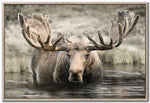 Northern Majesty Wall Art - Brown - 30 X 45