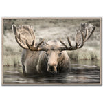 Northern Majesty Wall Art - Brown - 30 X 45