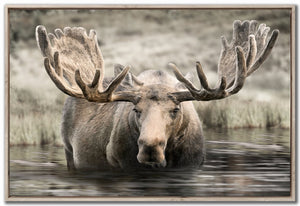 Northern Majesty Wall Art - Brown - 30 X 45