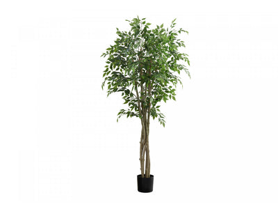 79" Ficus Tree With 8" Black Pot - Green