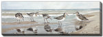 Shorebirds Wall Art - Brown/Beige - 20 X 60