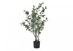 35" Eucalyptus Plant With 5" Black Pot - Green