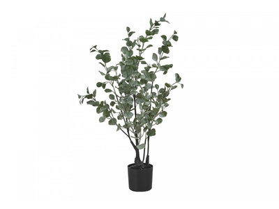 35" Eucalyptus Plant With 5" Black Pot - Green