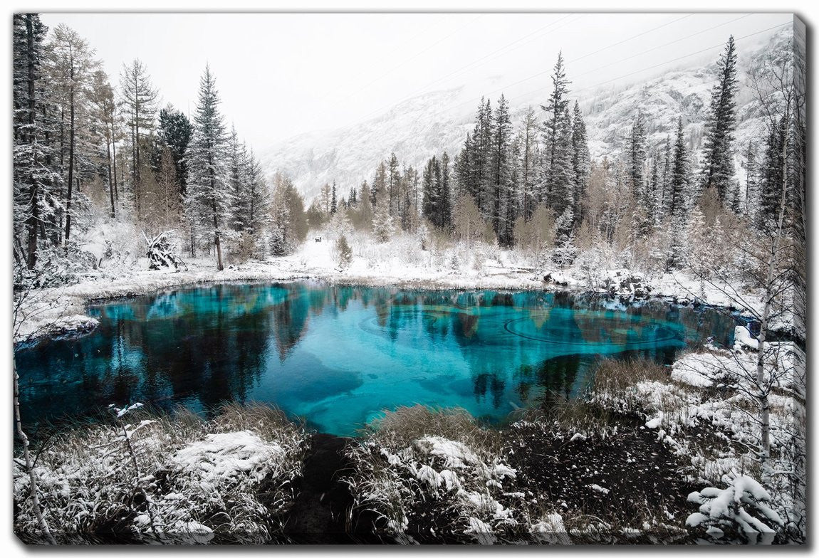 Winter Oasis Wall Art - Grey/Blue - 22 X 28