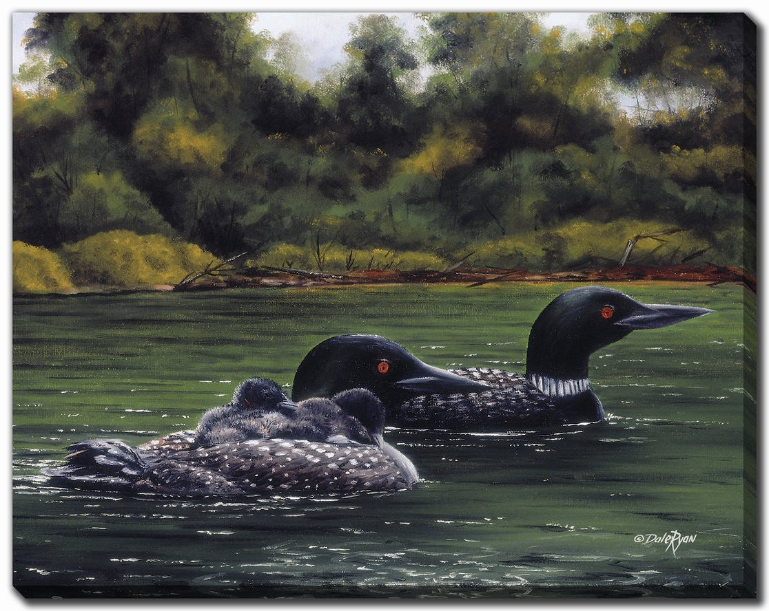 Loons on the Lake Wall Art - Green - 22 X 28
