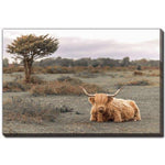 Morning in the Meadow Wall Art - Multi-Colour - 30 X 45