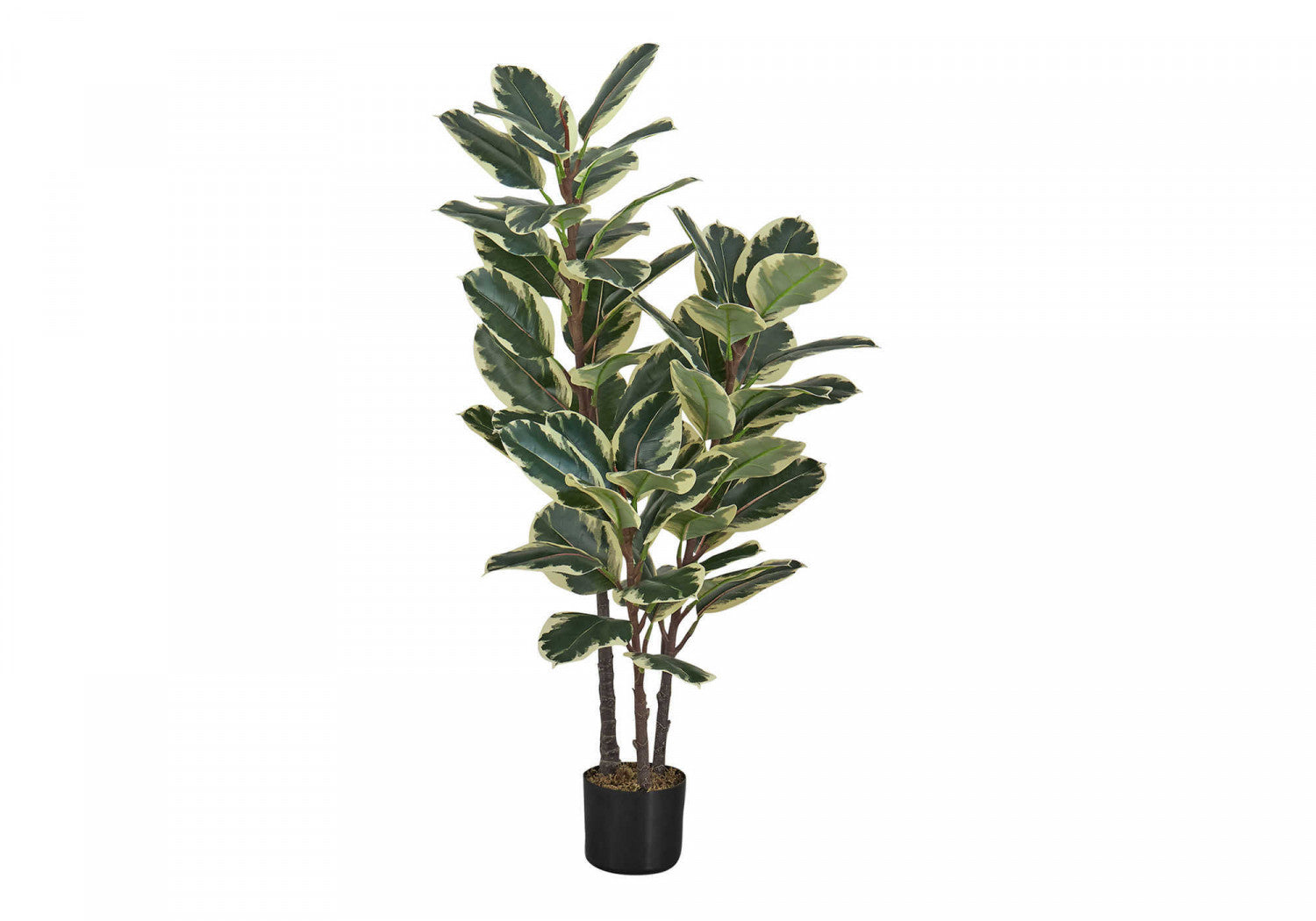 47" Oak Tree With 5" Black Pot - Green