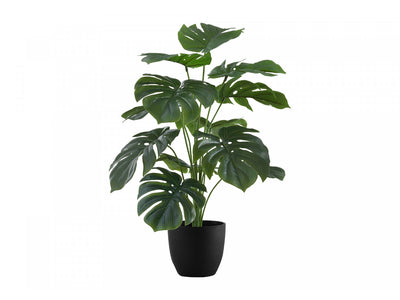 24" Monstera Plant With 5" Black Pot - Green
