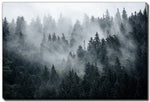 Fog Over The Ridge Wall Art - Green - 16 X 20