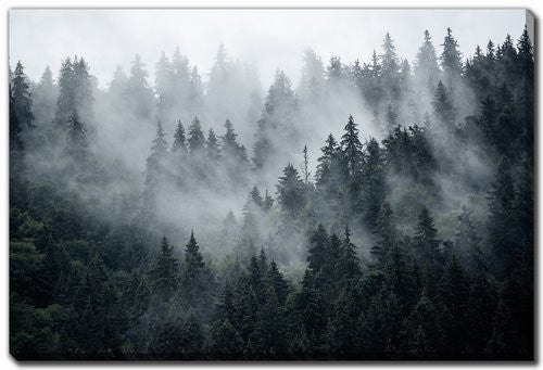 Fog Over The Ridge Wall Art - Green - 16 X 20