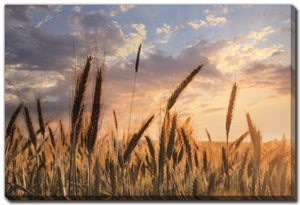 Wheatlight Wall Art - Brown - 38 X 60