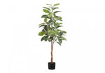 52" Rubber Tree With 5" Black Pot - Green/White