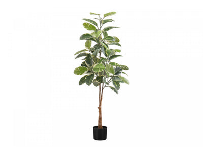 52" Rubber Tree With 5" Black Pot - Green/White