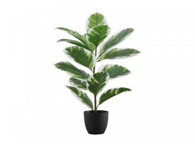 27" Rubber Plant With 5" Black Pot - Green