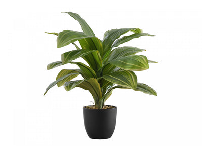 17" Dracaena Plant With 4" Black Pot - Green