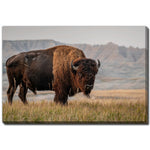 Western Strength Wall Art - Brown - 22 X 28
