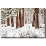 Stillness in Snow Wall Art - White - 30 X 45