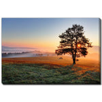 Rooted in Light Wall Art - Blue/Green/Orange - 22 X 28