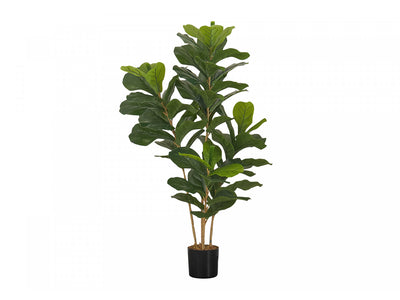 41" Fiddle Tree With 5" Black Pot - Green